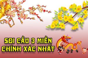 dự đoán xsmt chuẩn sớ đầu đuôi giải đặc biệt